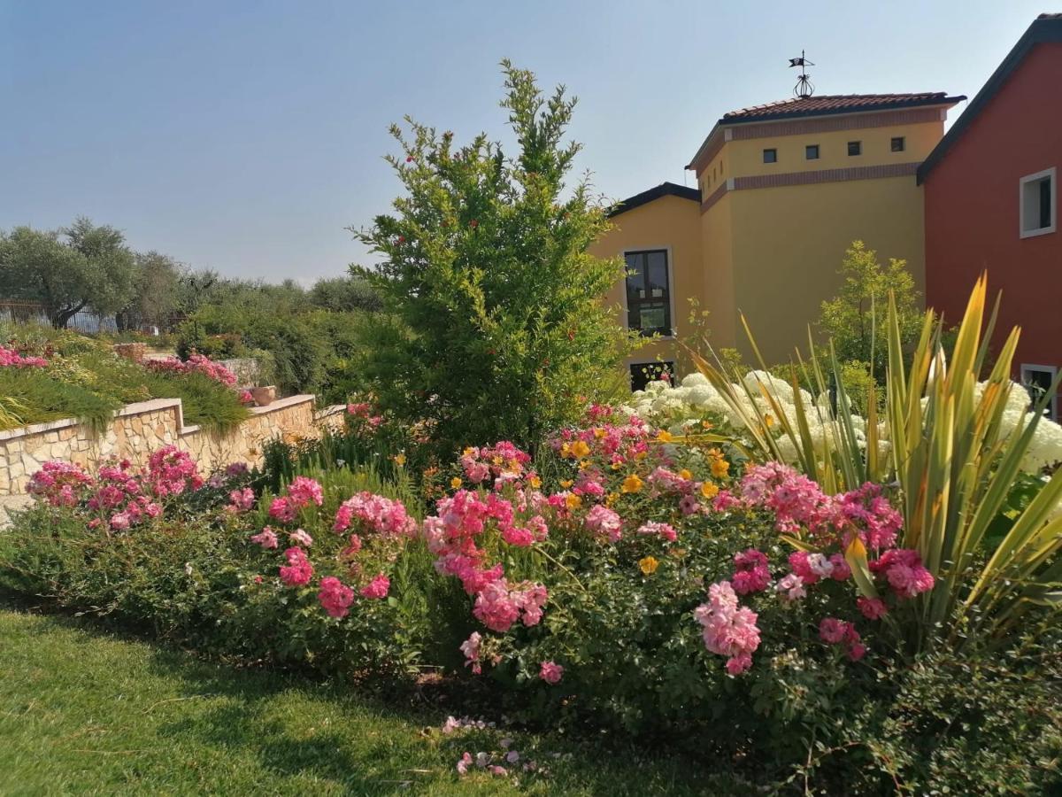 Agriturismo La Rondinella Lazise Ngoại thất bức ảnh